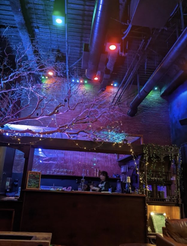 The bar at night under coloured lights, fairy lights strung through manzanita branches overhead.