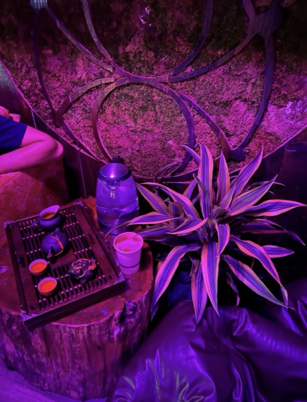 A tea tray with a clay pot and cups on a tree-stump table against a moss wall.